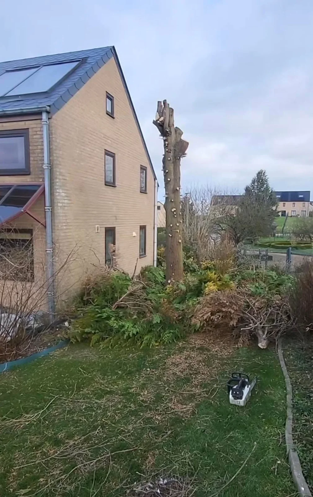 Tree work and branches on site