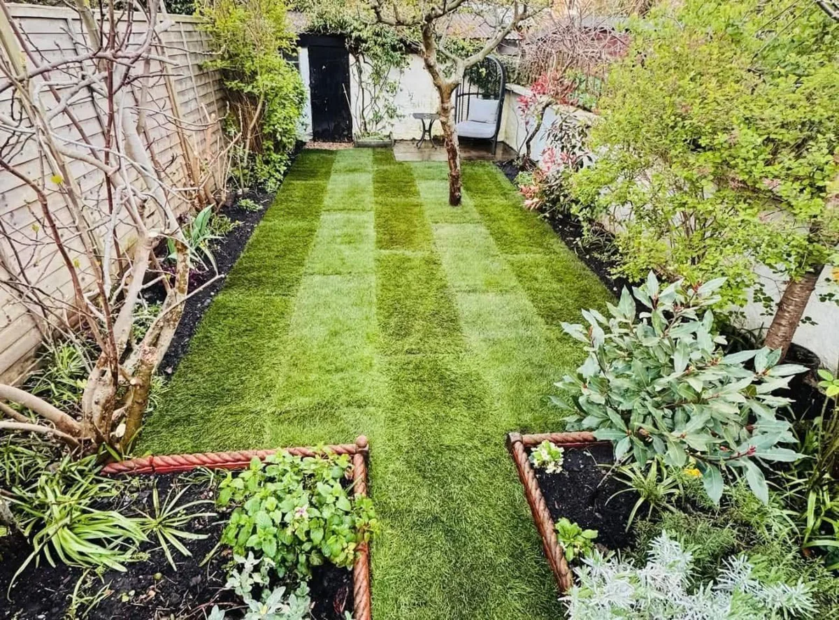 Maintained compact garden with lawn and planted borders